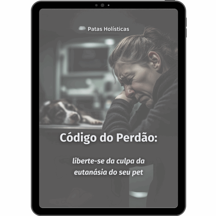 Código do Perdão