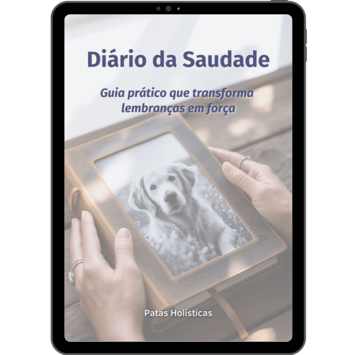 Diário da Saudade