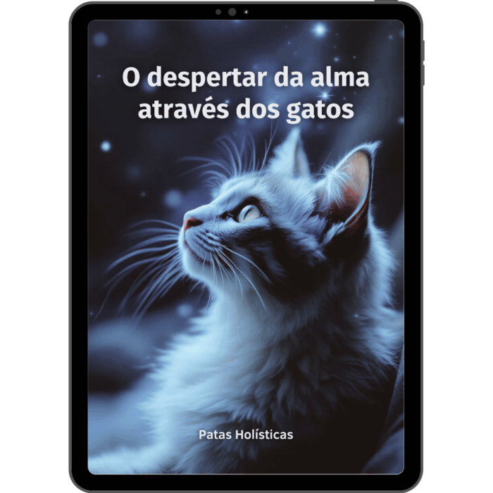 O despertar da alma através dos gatos